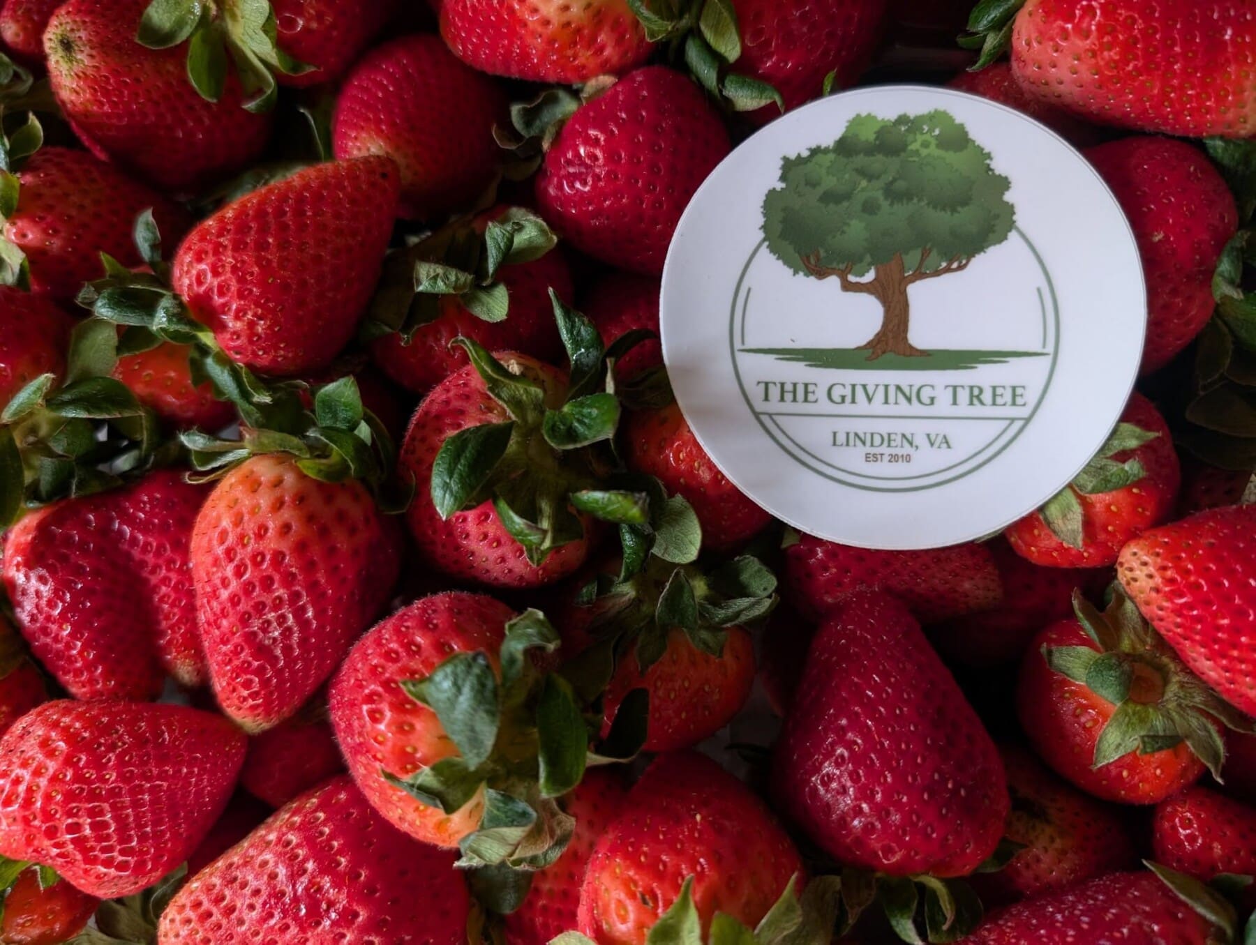 The Giving Tree Farmers Market