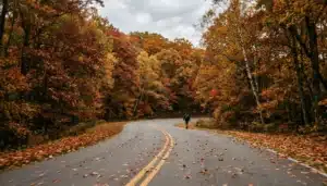 Skyline Drive in Shenandoah Valley VA with fall foliage lining the road — things to do in Shenandoah Valley VA