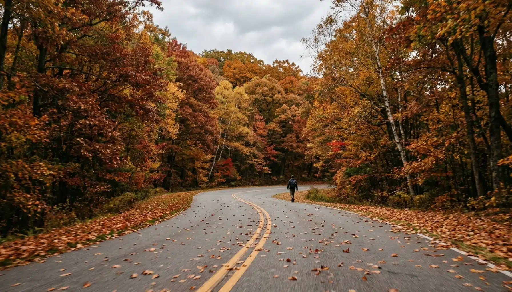 Skyline Drive in Shenandoah Valley VA with fall foliage lining the road — things to do in Shenandoah Valley VA
