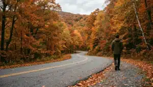 Skyline Drive curving through autumn foliage in Shenandoah National Park, one of the best things to do Shenandoah National Park