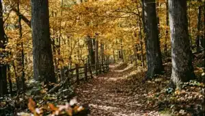 hiking near luxury wellness cabin Shenandoah Virginia in fall foliage season