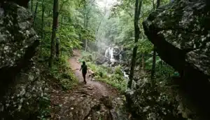 Hiker walking toward a cascading waterfall on a wooded trail in Shenandoah Valley