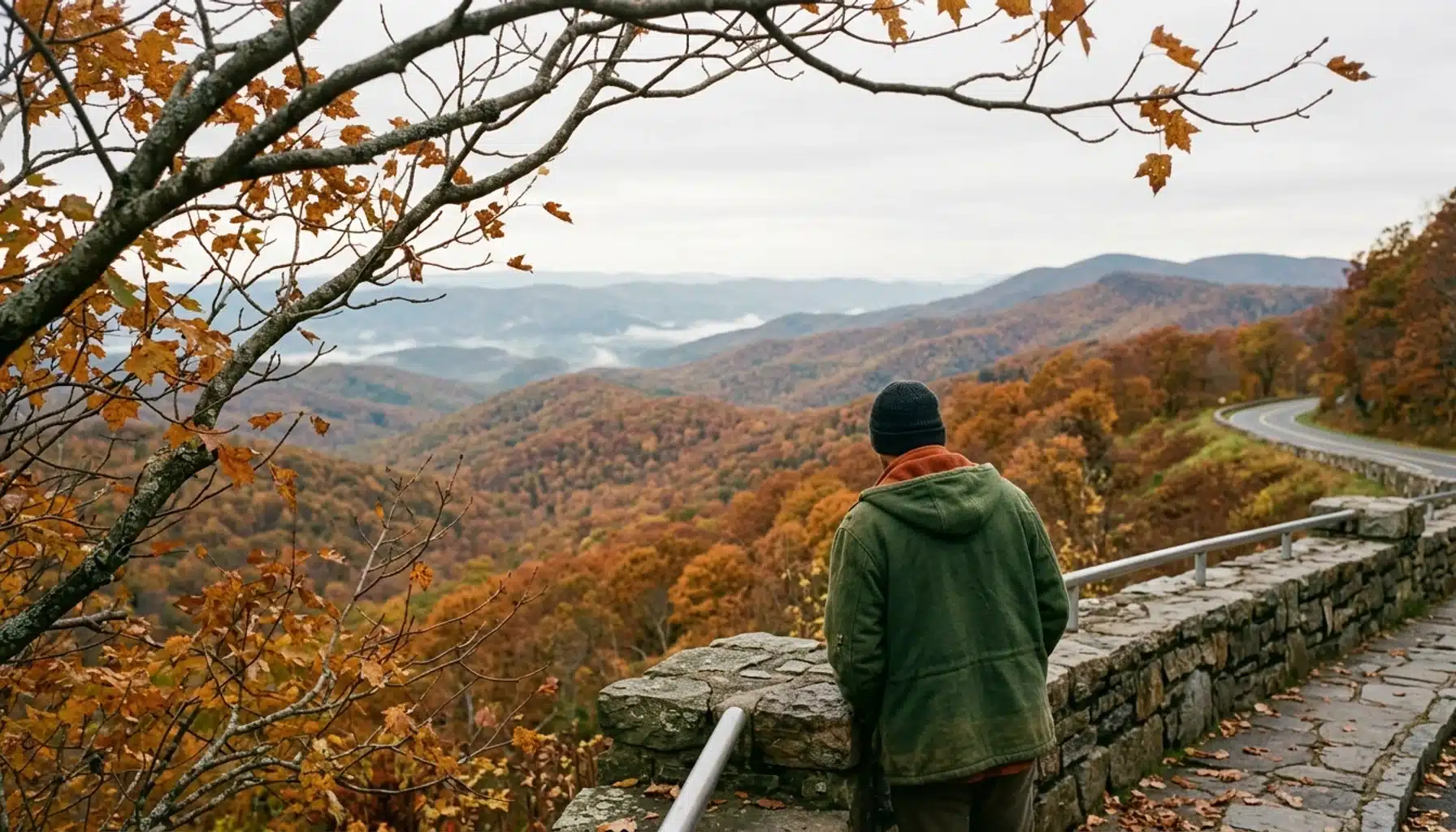 Hiker overlooking peak fall foliage on Skyline Drive in Shenandoah Valley, Virginia