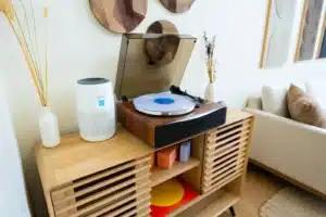 Stylish bedroom shelf with vintage record player and minimalist decor at Shenandoah lodging