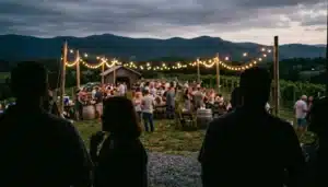 Crowd enjoying an evening wine tasting event near Linden, Virginia at Linden Vineyards